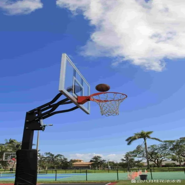李冰洁夺冠震撼世界，书写泳坛新篇章（YaBo SPORTS）
